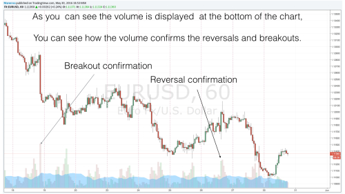 Option trading volume report